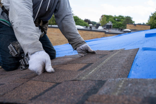 Fast & Reliable Emergency Roof Repairs in Delphos, OH